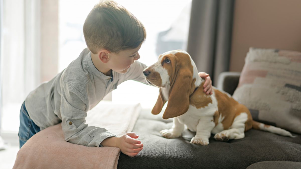 Tips and techniques for alleviating pet dog separation stress and anxiety as kids go back to school